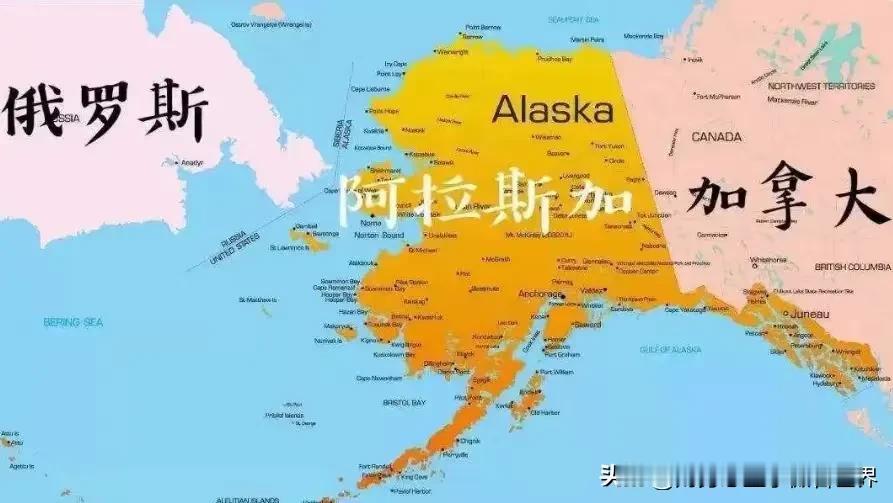 沙俄最愚蠢的事情大概率就是卖掉了阿拉斯加。阿拉斯加并不是沙俄眼中的只有野生动物资