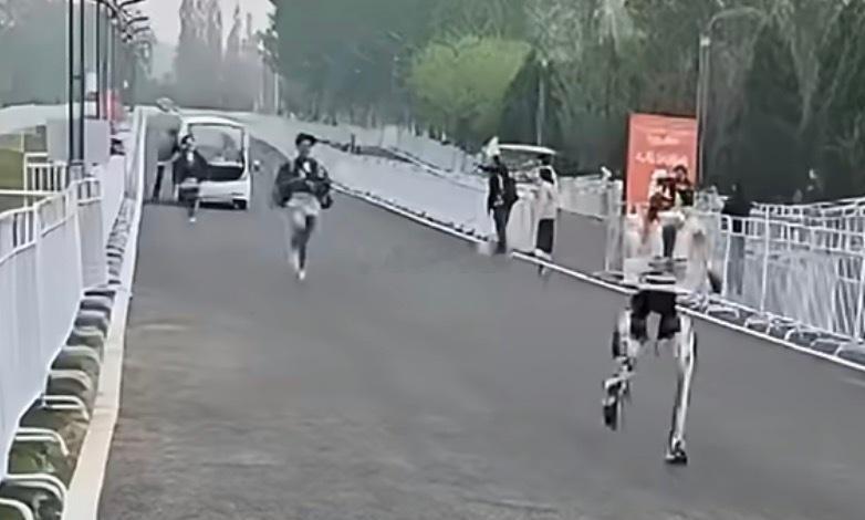 像极了四驱兄弟追着四驱车跑的样子了！不过四驱兄弟还能追上飞快的四驱车，说明还是小