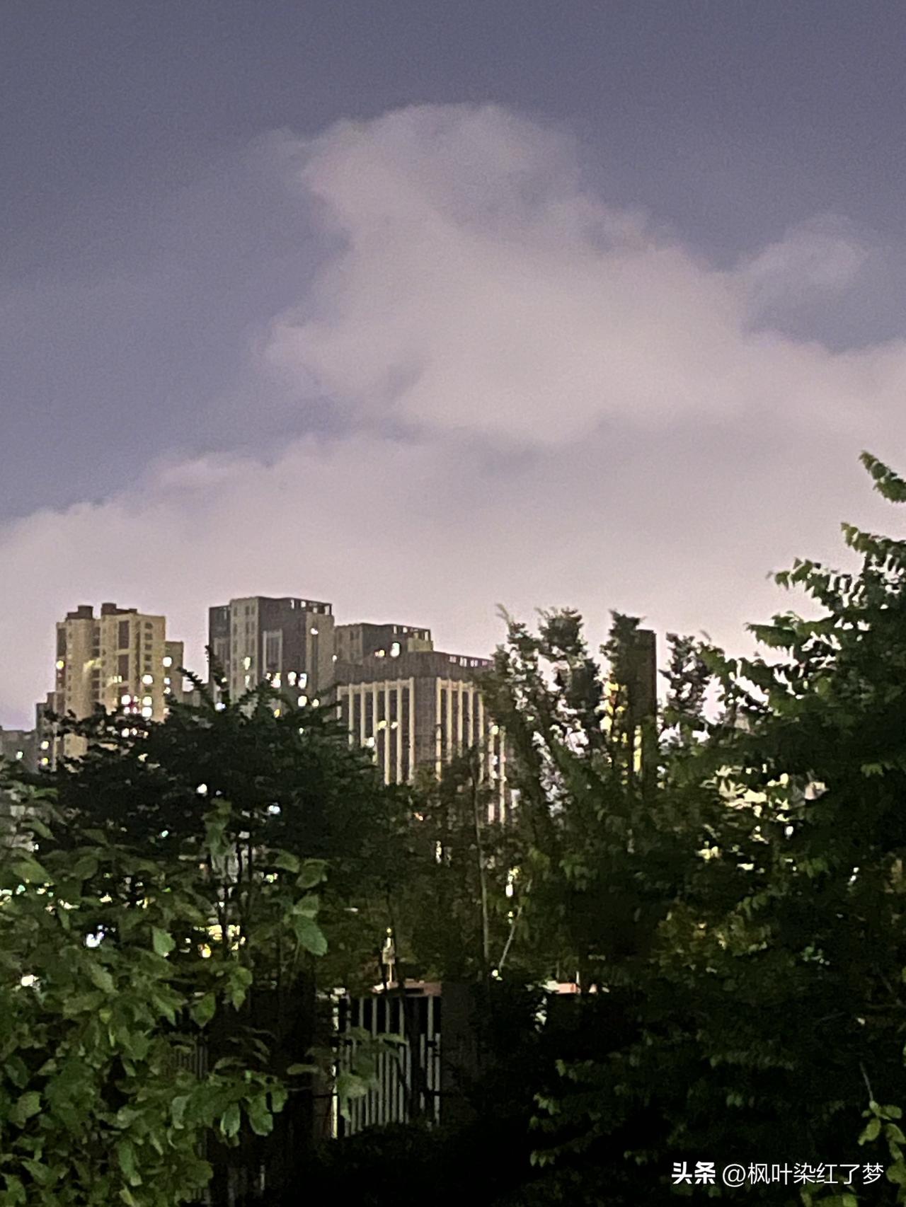 一位老中医说：“养生的本质不是怕死，而是怕活着不舒服。早睡是为了养神，运动是为了