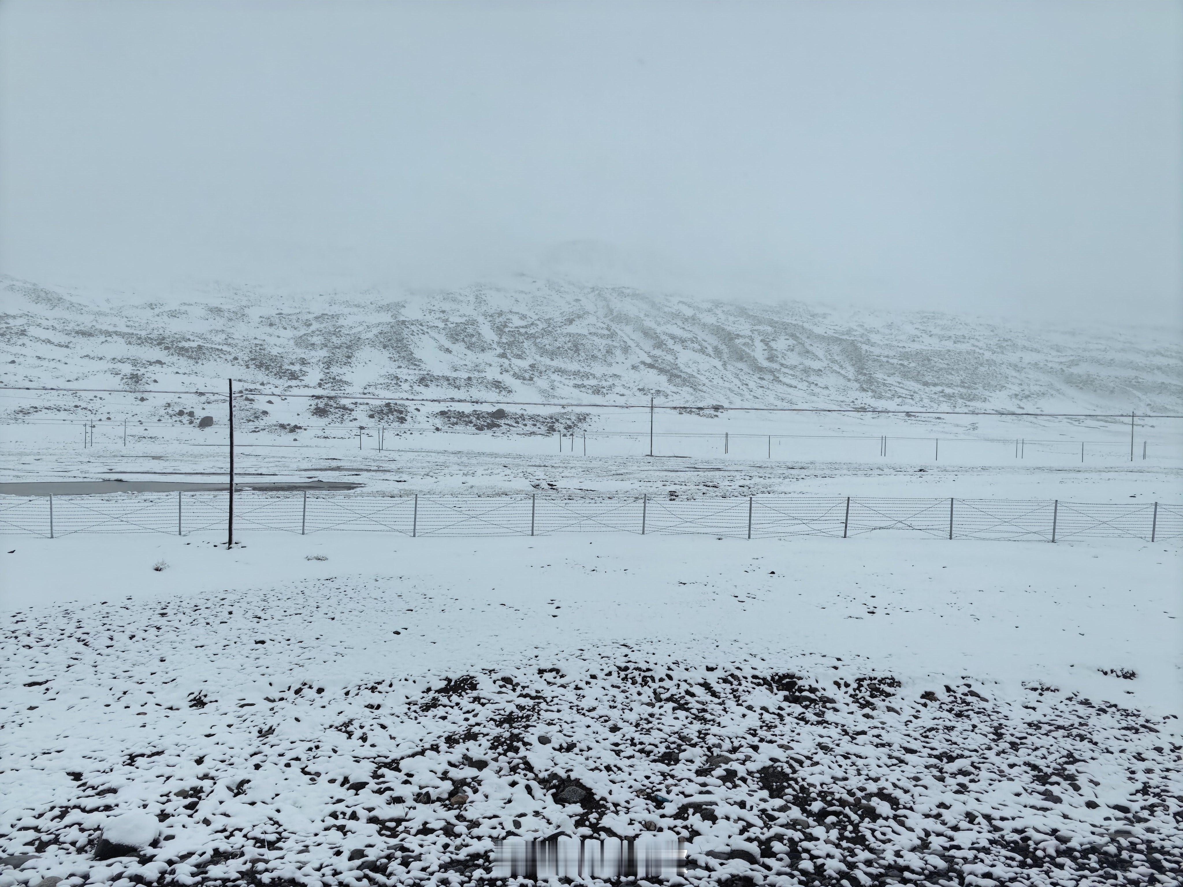 胡天八月即飞雪。  ​​​