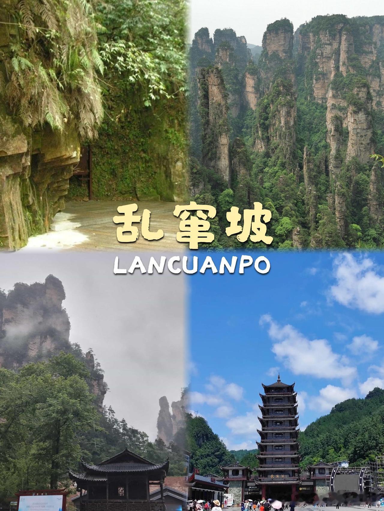 张家界小众秘境！乱窜坡徒步全攻略

发现了一处藏在张家界的小众秘境，人少景美还能