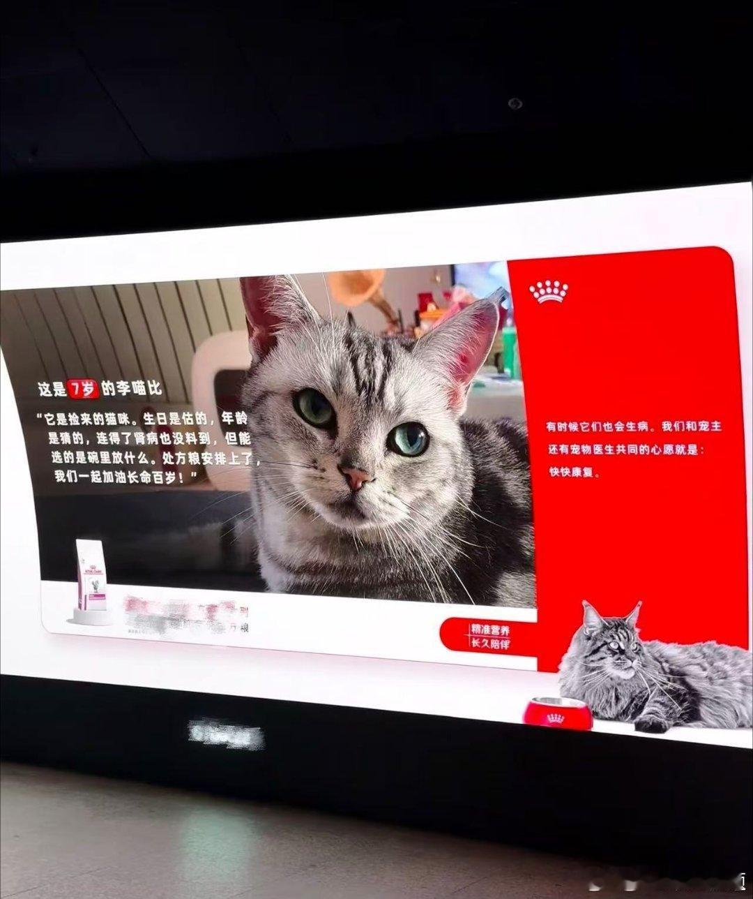 上海地铁大屏点亮平温情生活瞬间地铁里人来人往步履匆匆，大屏上放出铲屎官陪伴毛孩子