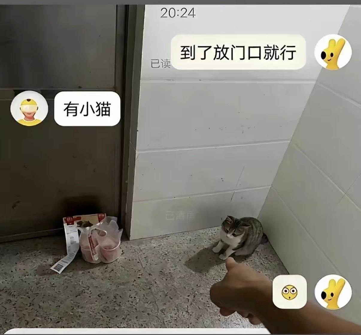免责声明