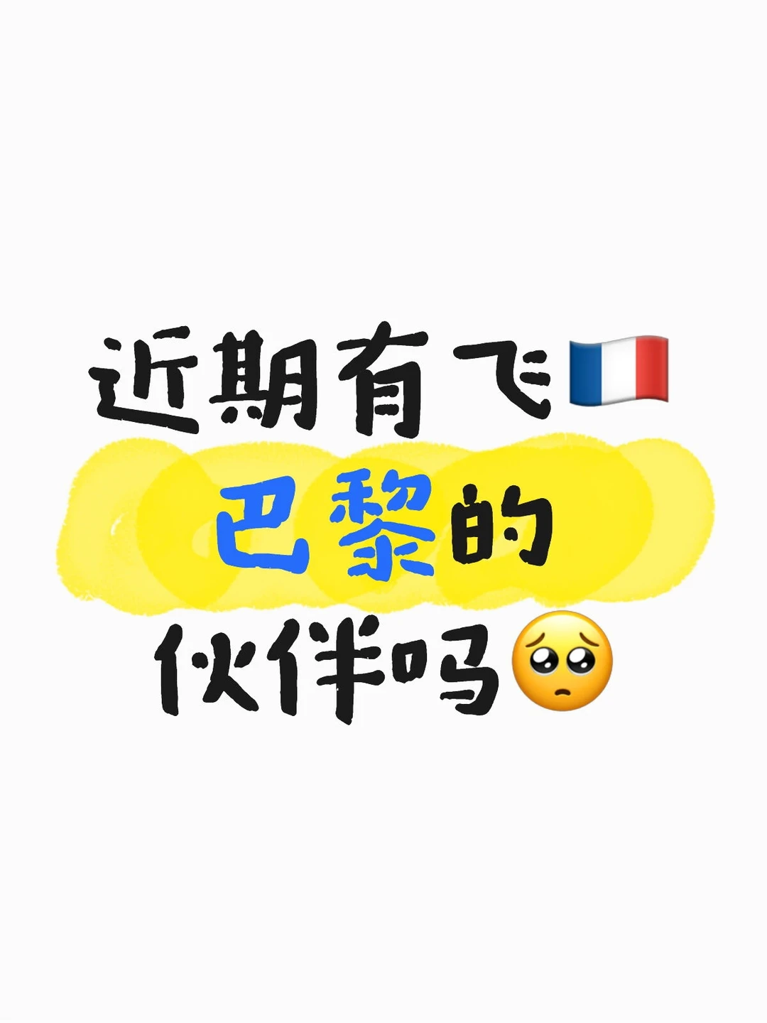 近期有飞🇫🇷巴黎的伙伴吗🥺 毛孩子需要你们[皱眉R]