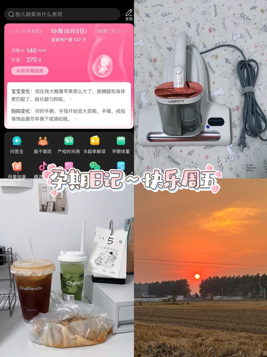 小李老师孕期日记19w啦～迎来快乐周五✨
