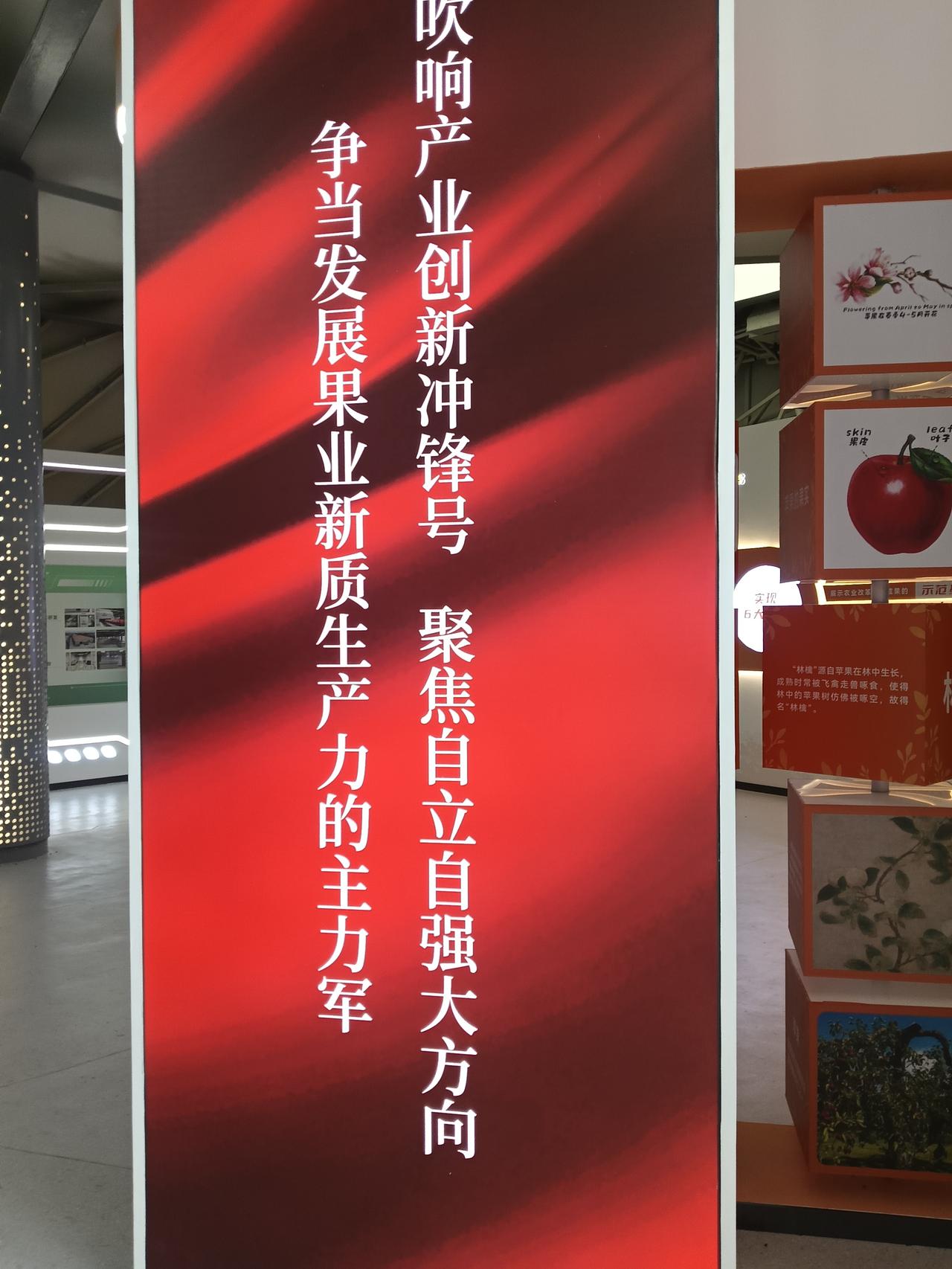 希望
在这时代科技创新发展段，忙忙碌碌的追逐梦想思想觉悟提升中努力奋斗。
不怕困