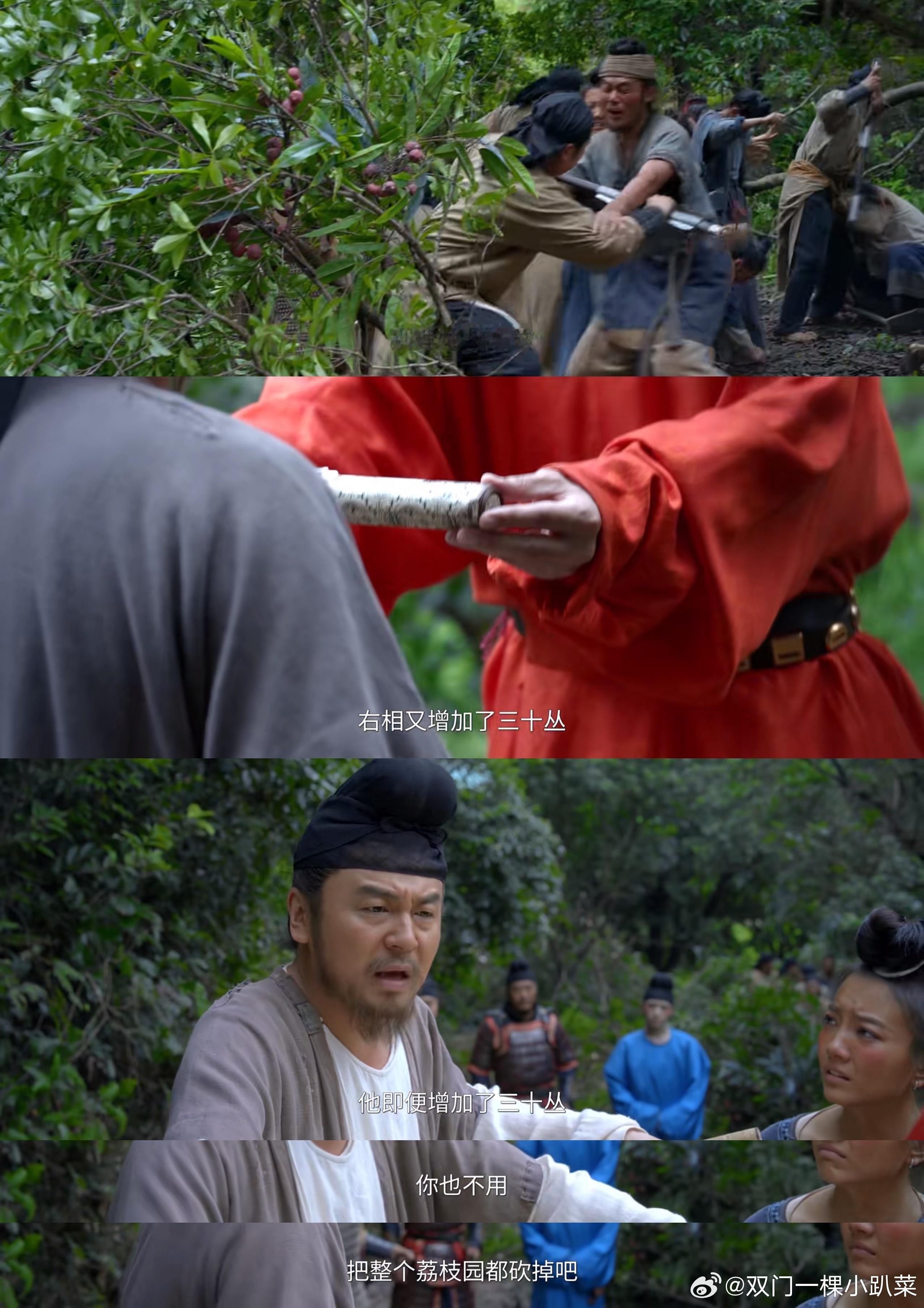 长安的荔枝观后感 看到后面，除了鱼承恩把苏谅踢出荔枝转运，李善德应允的转运权根本
