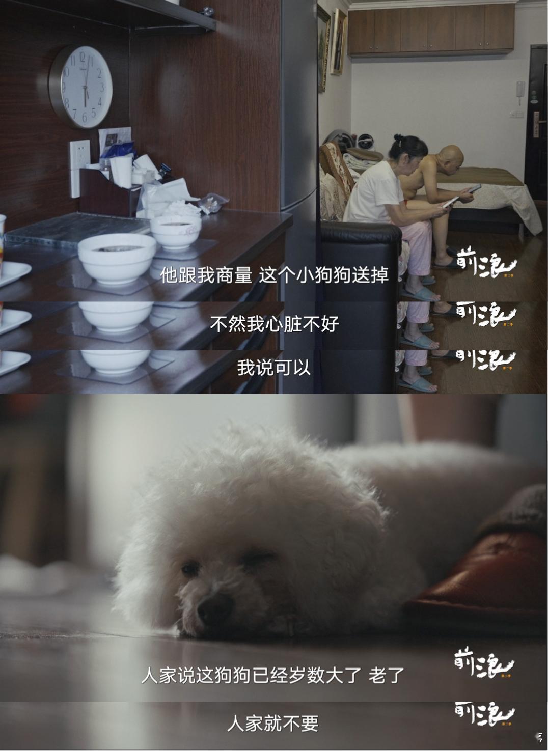 养了9年的狗和刚领证的70岁老伴选谁纪录片前浪2 在腾讯视频看纪录片前浪2，一段