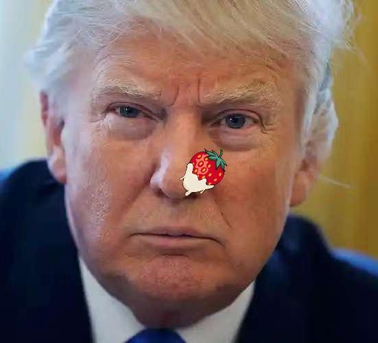 美国动真格了
当地时间1月17日，特朗普发社交平台称，因格陵兰岛问题，2月1日起