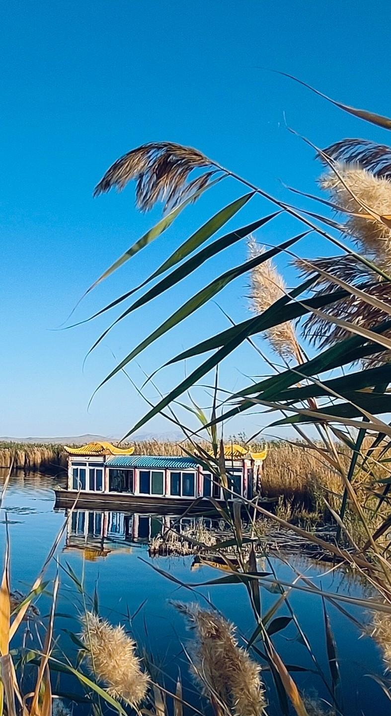 晒一晒手机里的风景照