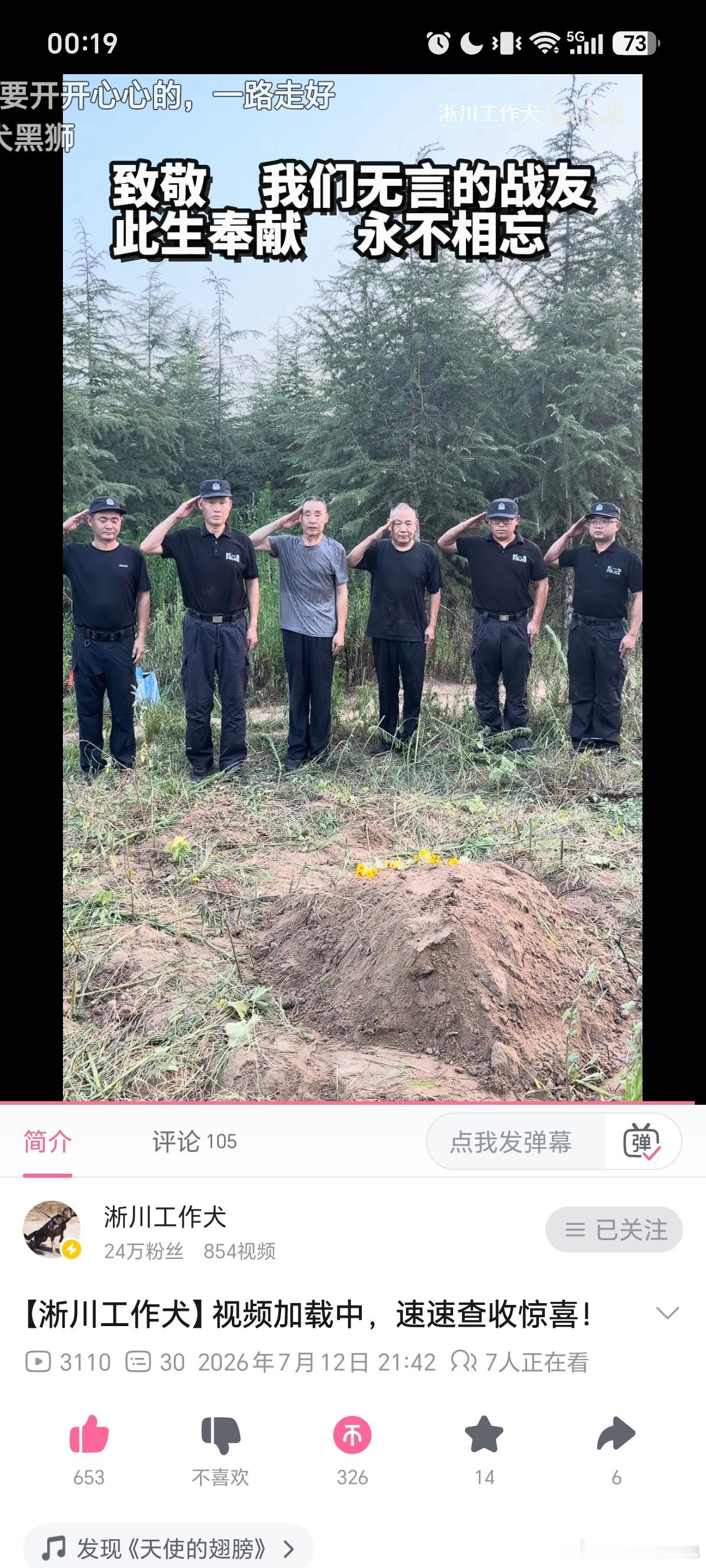 你会看一条警犬或者其他狗狗去世的视频而泪流满面吗虽然虽未谋面，但是关注时间久了就