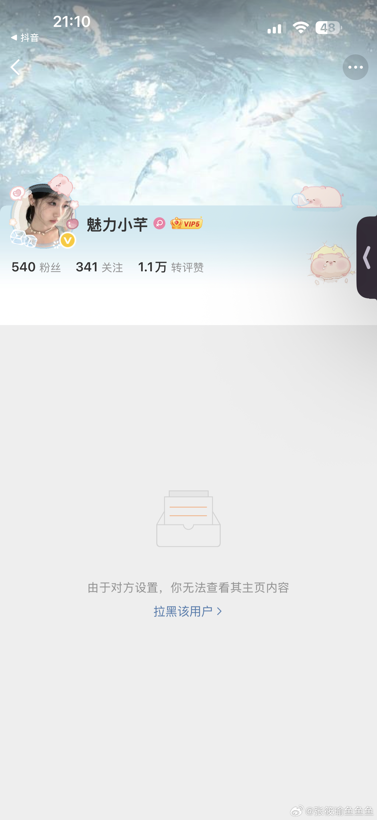 你又谁啊网页链接