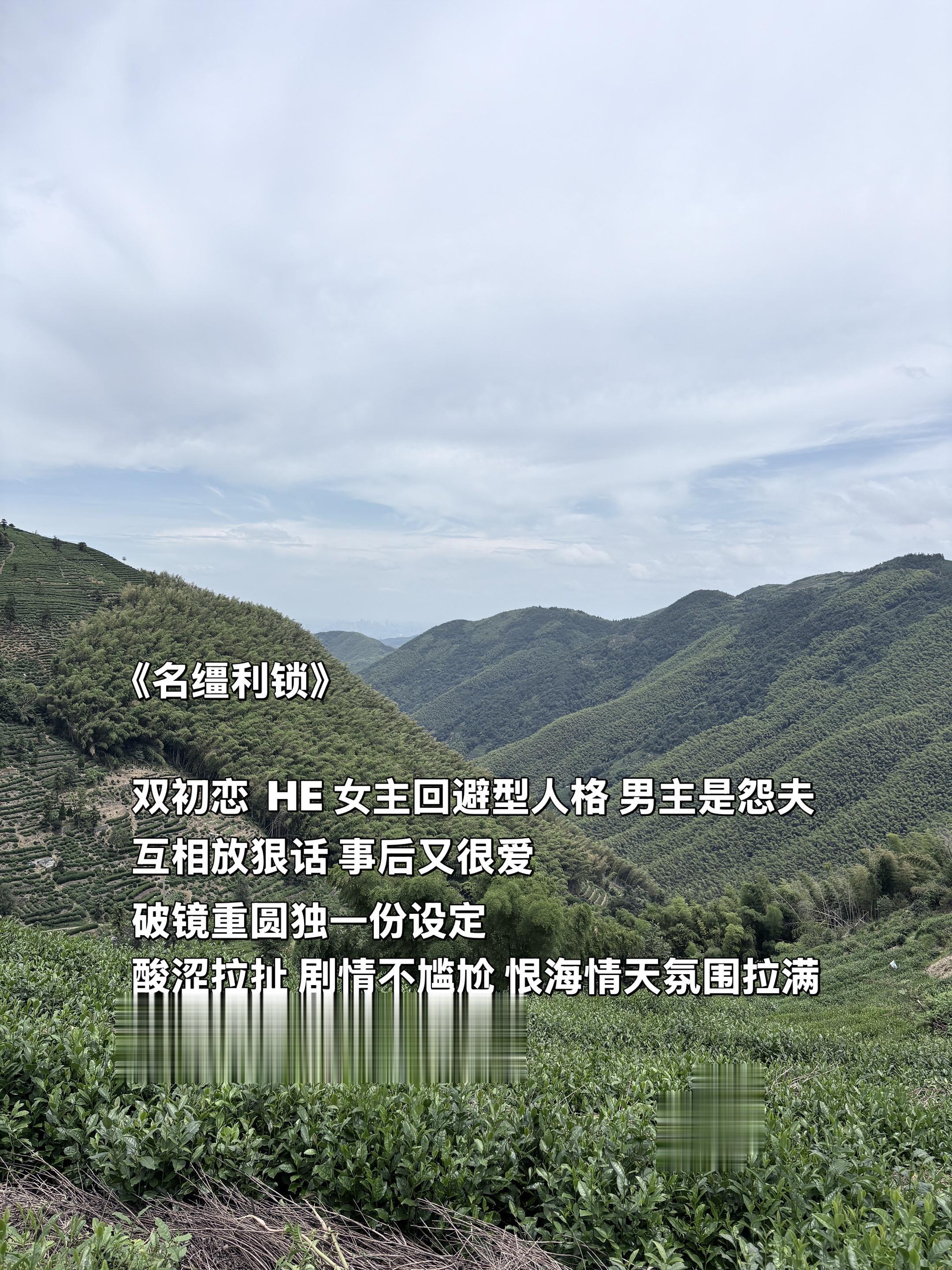 恨海情天文 我又找到啦！
