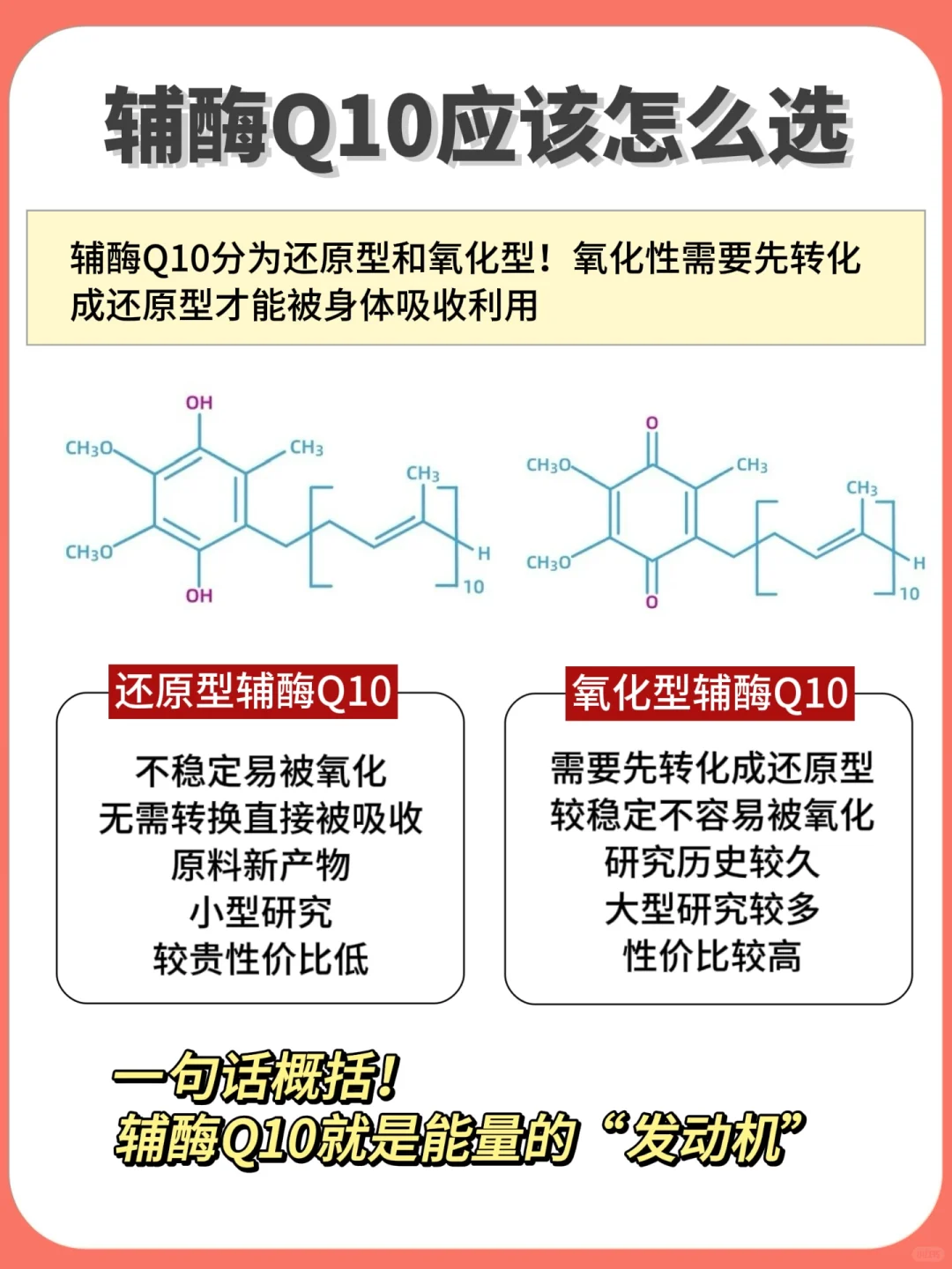熬夜搞懂辅酶Q10！父母🫀健康我来守护