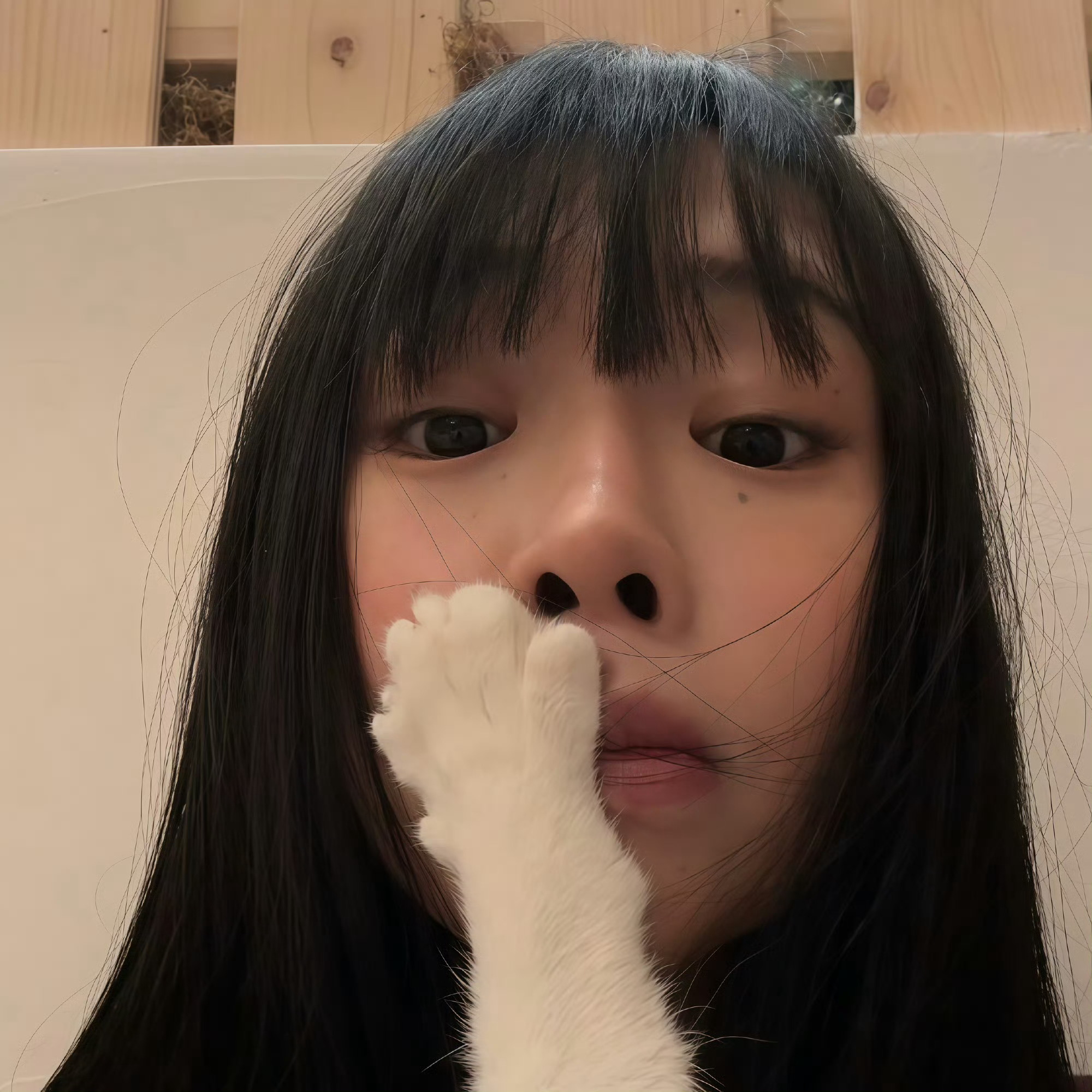 你的世界需不需要我这份吵闹 