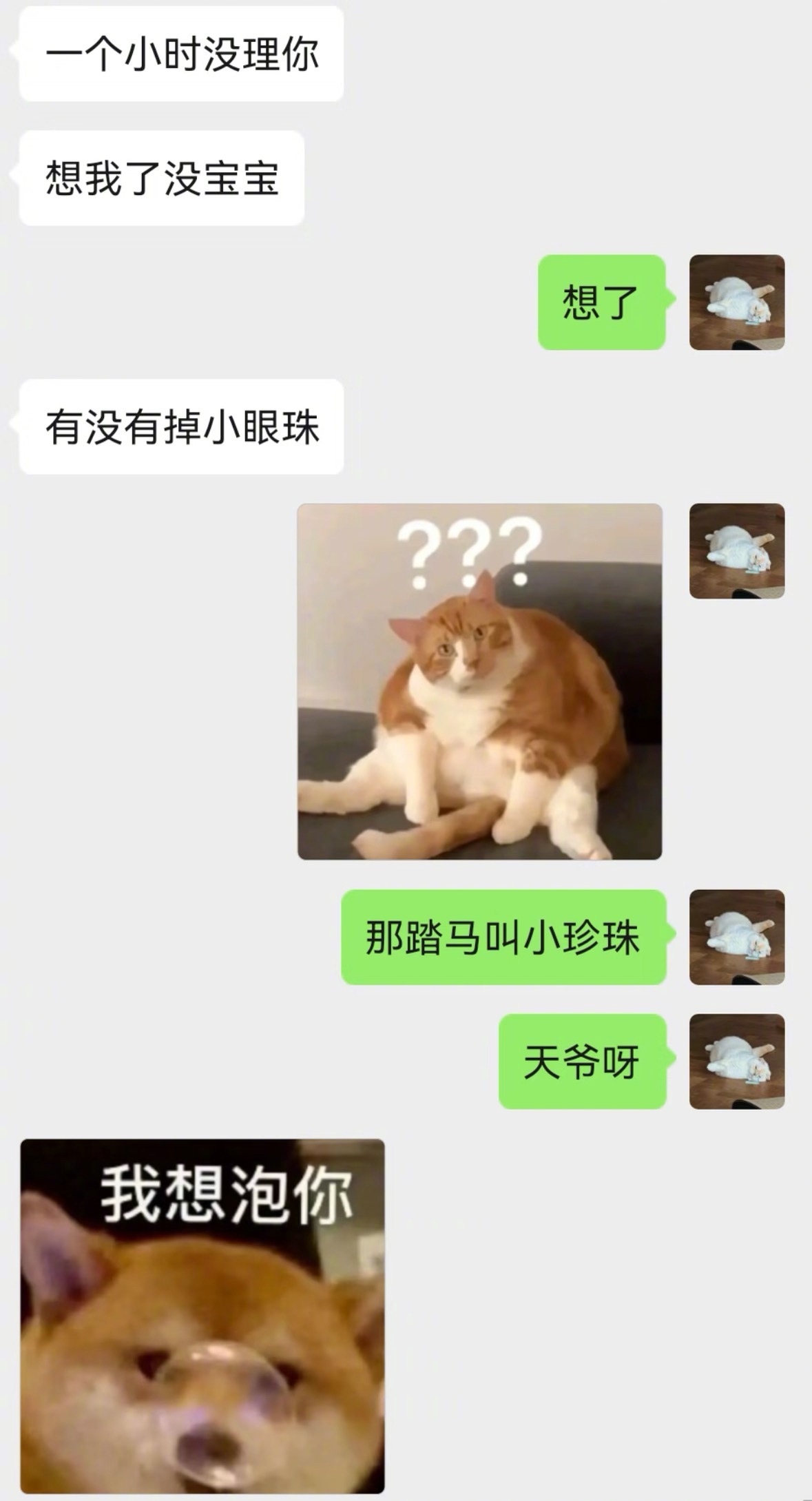 和天蝎老公的聊天日常 