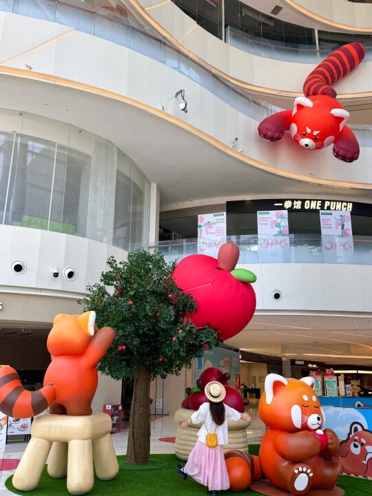 成都！！地铁直达的小熊猫展萌哭了😭....免费