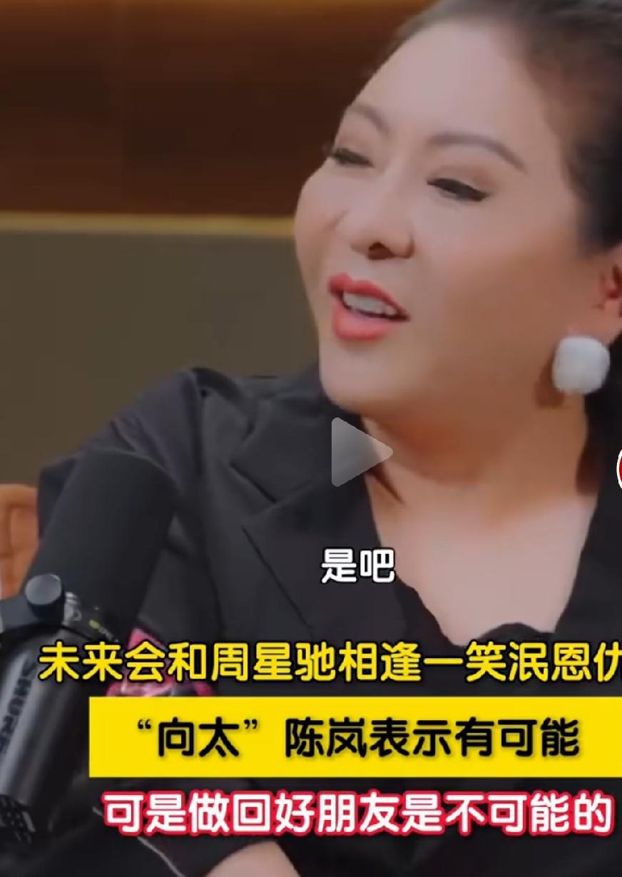 向太说和周星驰做不回好朋友

        在访谈节目中，向太陈岚谈及与周星驰
