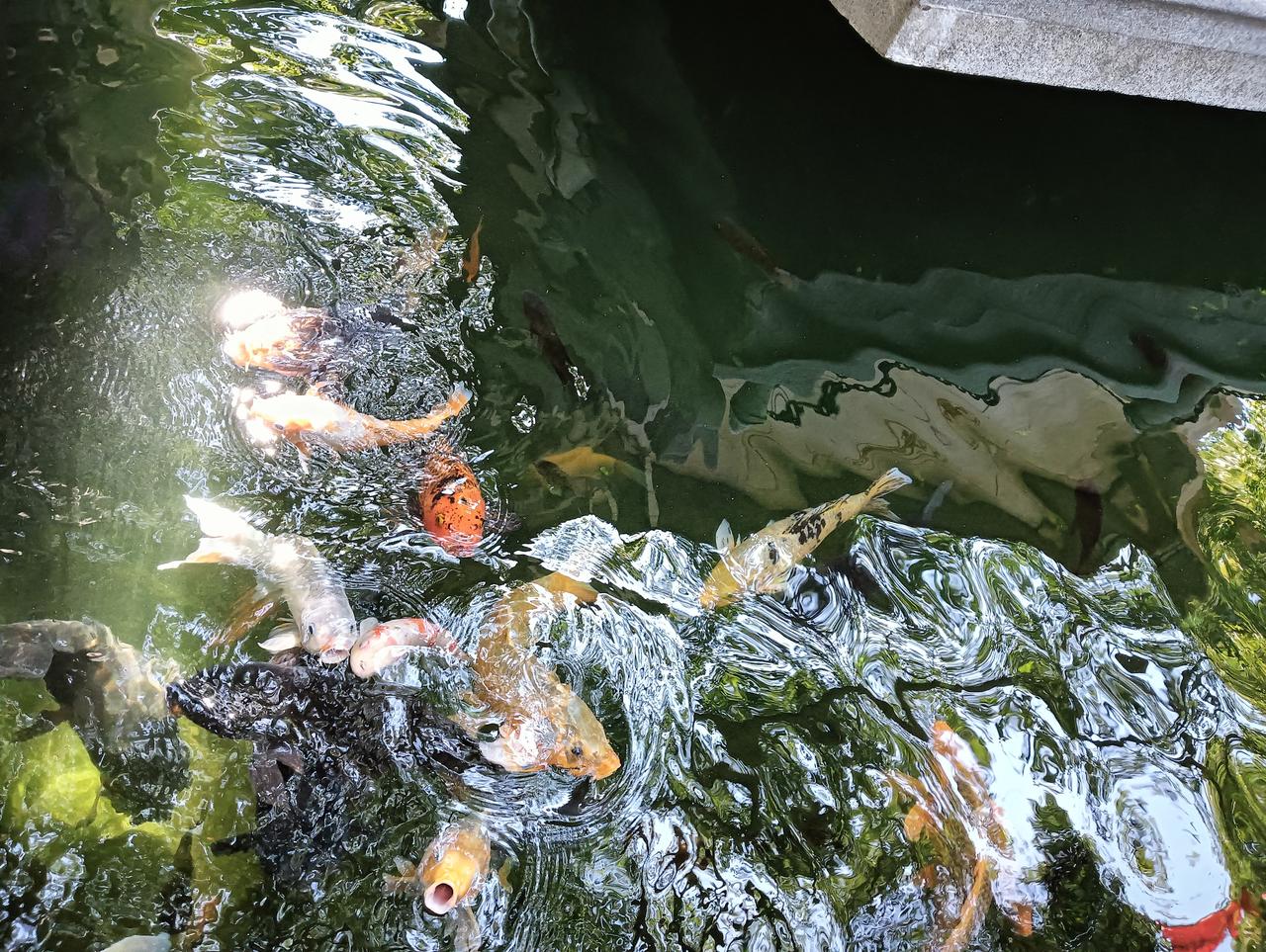 4000 点，哪类市场主线有望彻底点燃?
哈喽各位，我是怕你们踏空、又怕你们站岗