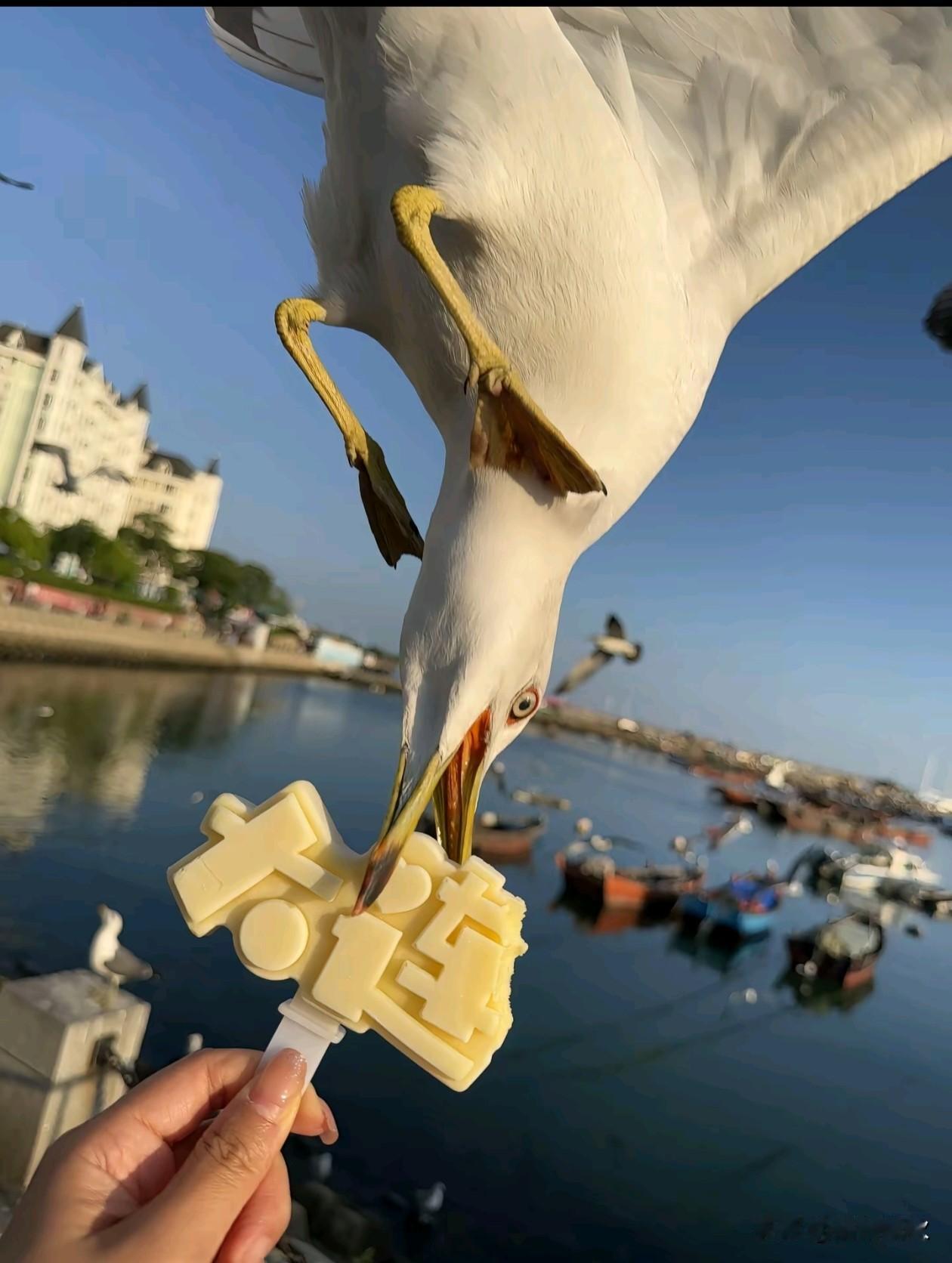 开心 才是生活的主旋律