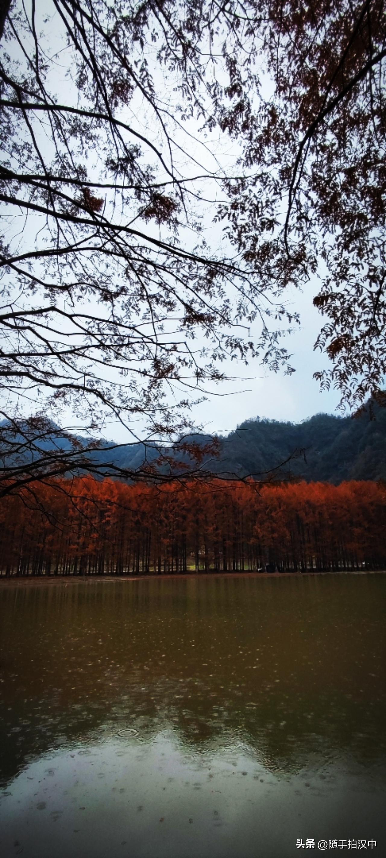 今年冬天的不同其实，春天比冬天冷太多了。一阵阵的小风儿，吹得我心明眼亮的。看看正
