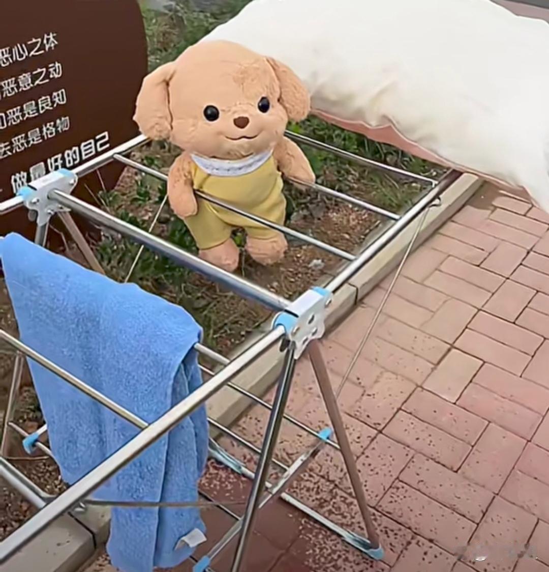 不知道是哪个好心人干的好事！晒了一天，一样都没干！ ​​​