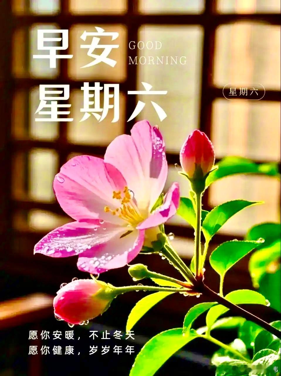 早安！生活中真正美好的，不止是远方的风景，更是你此刻快乐的心情。让人温暖的，也不