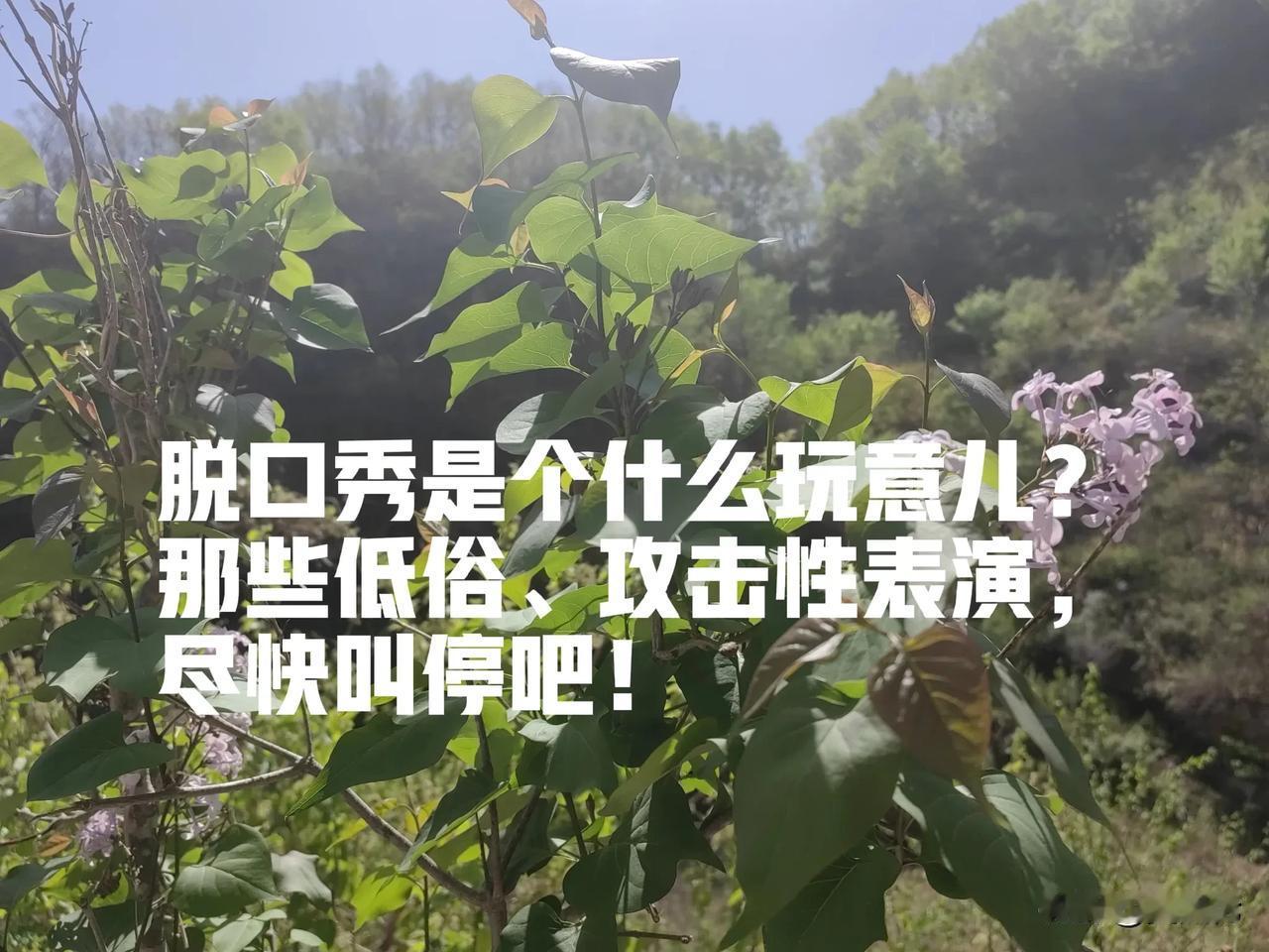 脱口秀是个什么玩意儿？那些低俗、攻击性表演，尽快叫停吧！

脱口秀，这个曾被视为