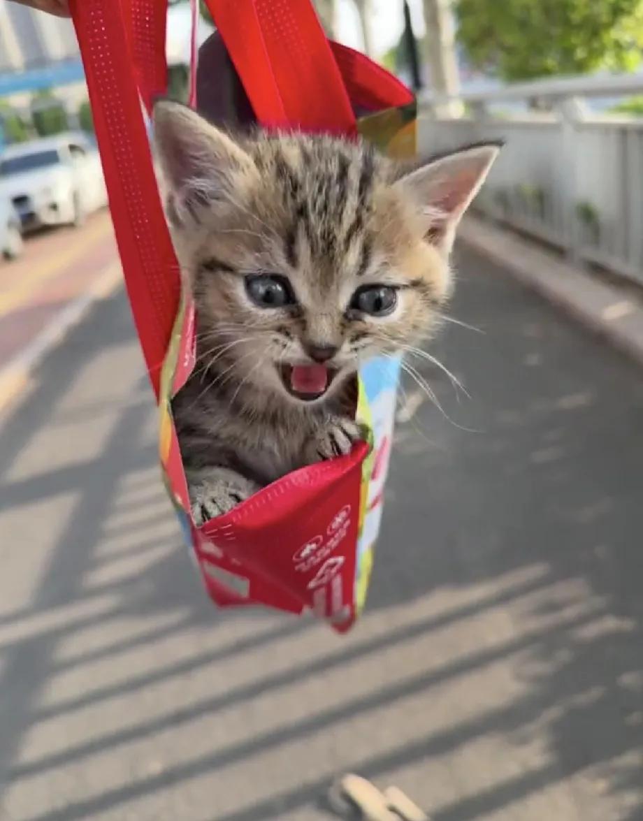 被我妈连环催婚催得没办法，硬着头皮去见了相亲对象，本来心里还打鼓，觉得第一次见面