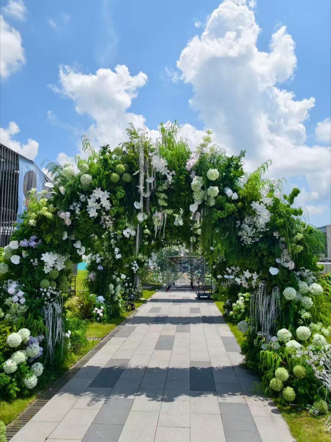 王一博王一博给粉丝搭建制冷大棚王一博和摩托姐姐相爱99💚💚💚王一博 王一博
