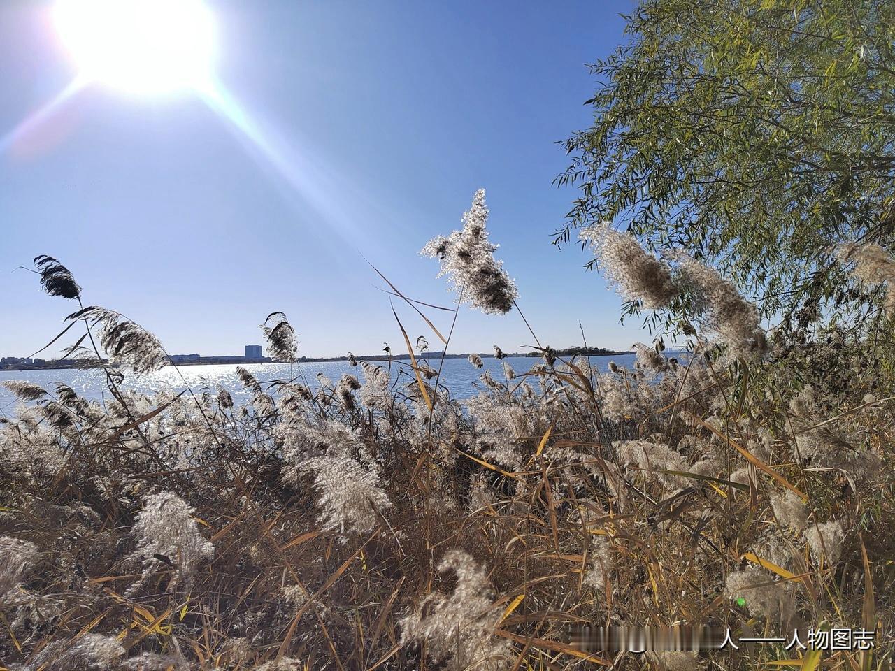 冬日生活打卡季