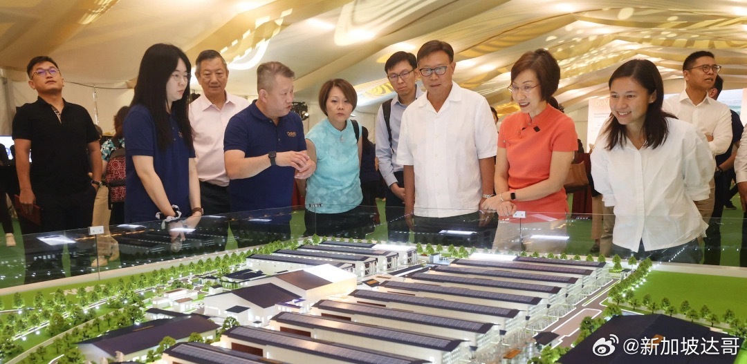 9月30日，新加坡第四家鸡蛋农场“DoMo” 在林厝港动土，首期工程预计两年内竣