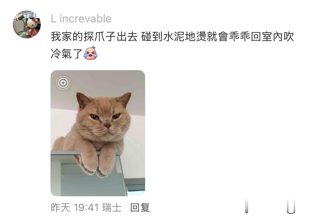 高温最大的受害者出现了，已经被热到怀疑猫生了