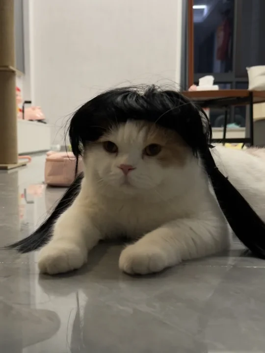 脸大的不要留齐刘海！