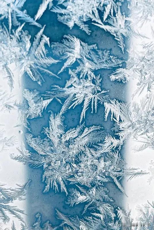 冬日生活打卡季 冬日生活打卡季，就是捕捉生活里那些微小而确切的幸福。
清晨拉开窗