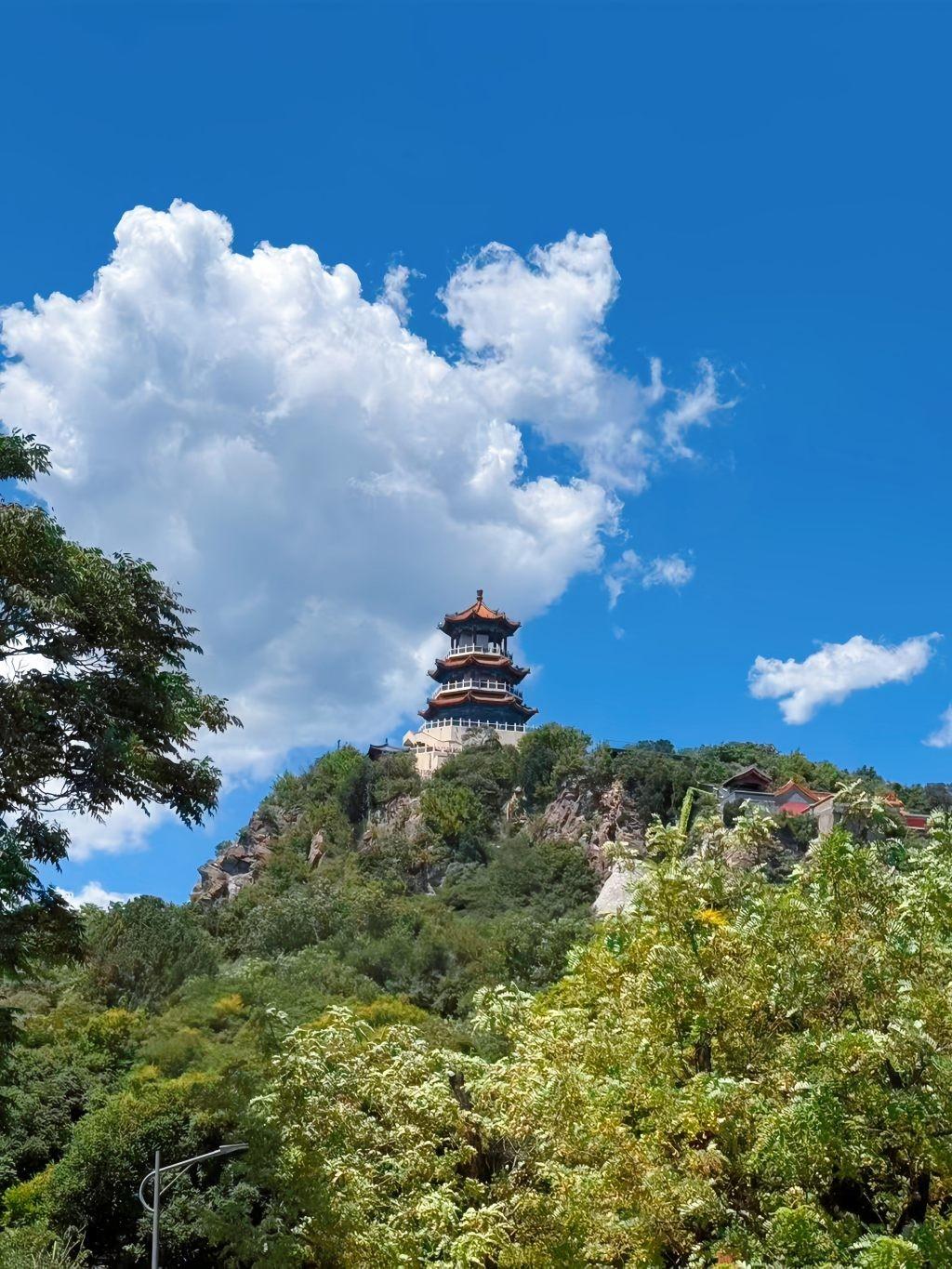 分享一张最近随手拍的照片
