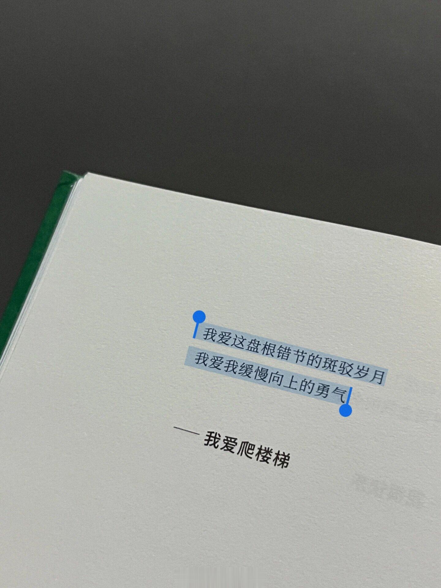 破防了😭这句“我爱我缓慢向上的勇气” ​​​