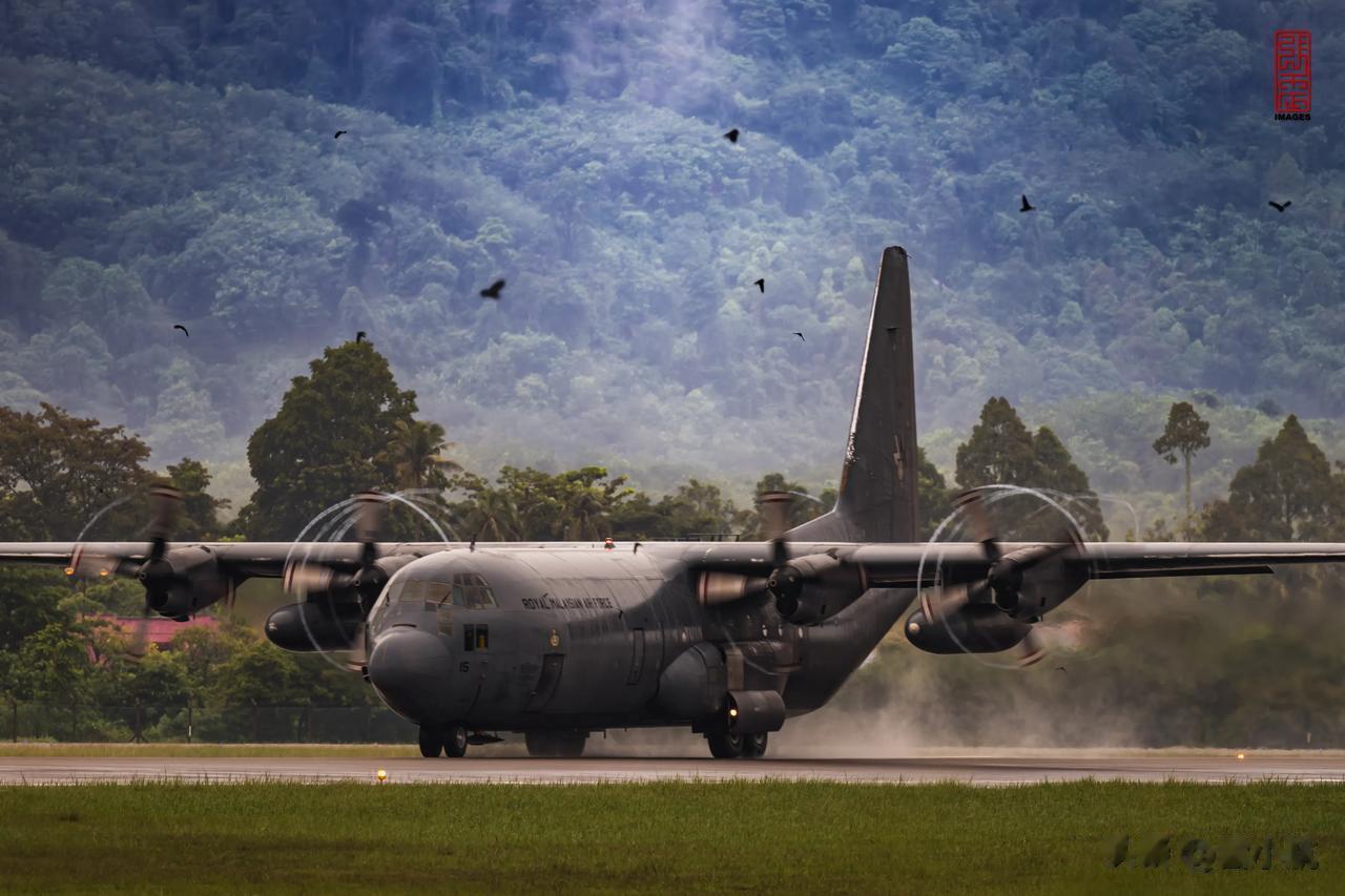 冒鸟🐦起飞的飞行拖拉机🚜，马来西亚🇲🇾空军C130H运输机。小雨中四台T