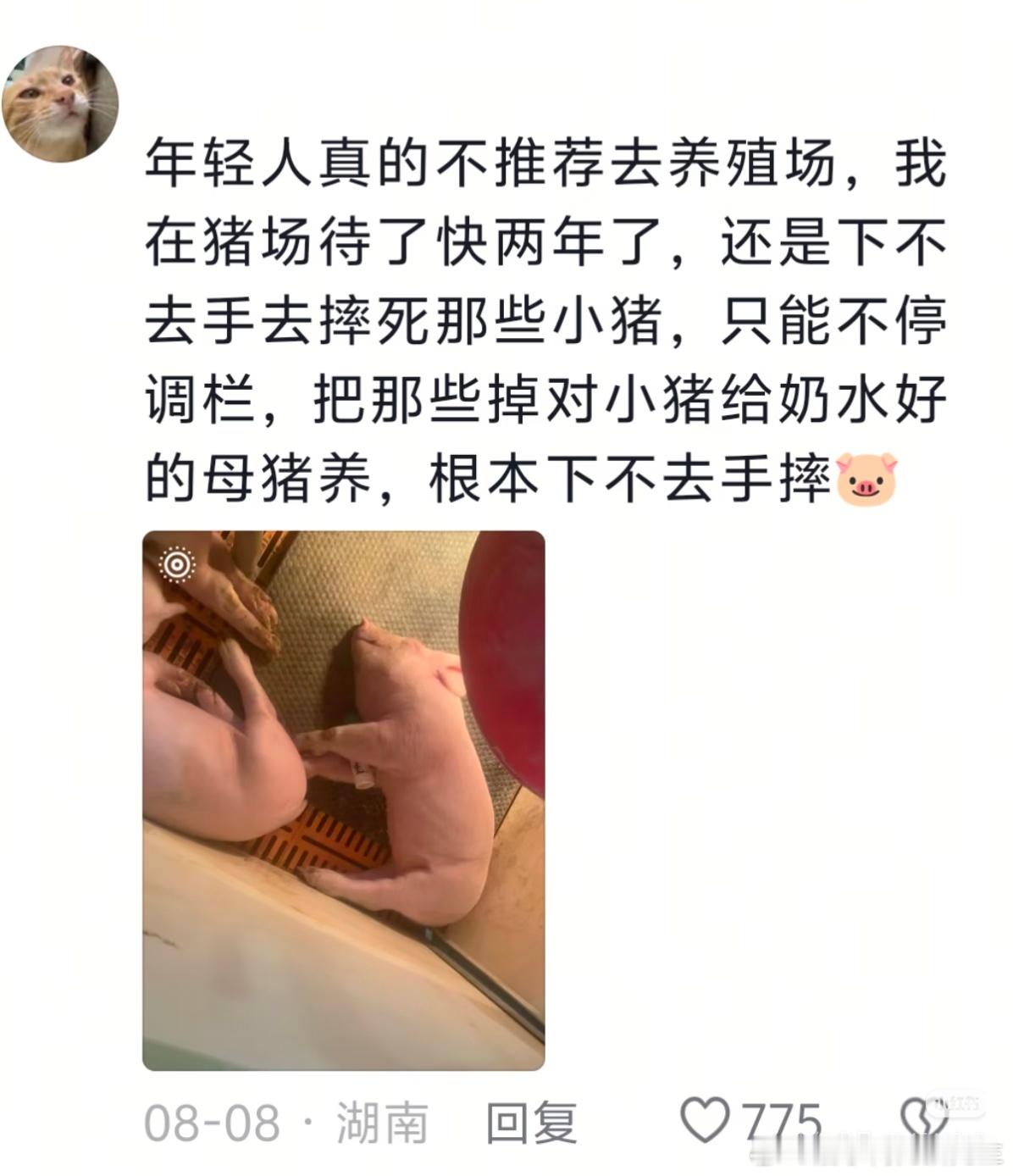 共情力强的人不适合做养殖业 ​​​