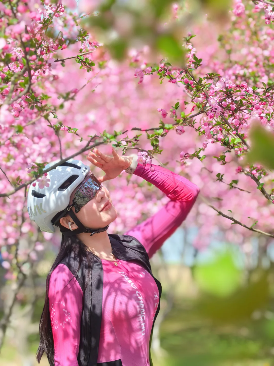 今天是粉色的花海🚴