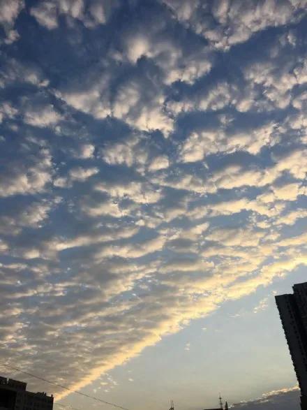 《想你的日夜》
 白昼，阳光拉长思念的影
每一寸光阴，都镌刻你的姓名
在喧嚣的街