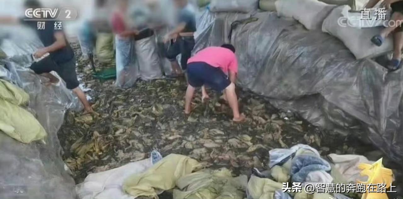 这个事不是我记得之前被曝光过一次么？这次是同一厂家么[允悲][允悲]？这想想都恶