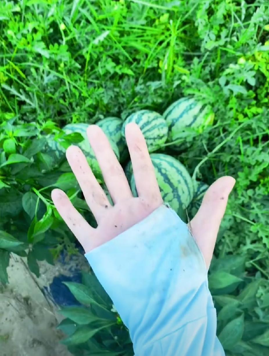 老婆的最高境界
每一条我都做到了
经济上不指望老公
生活中不依赖老公
晚上睡觉不