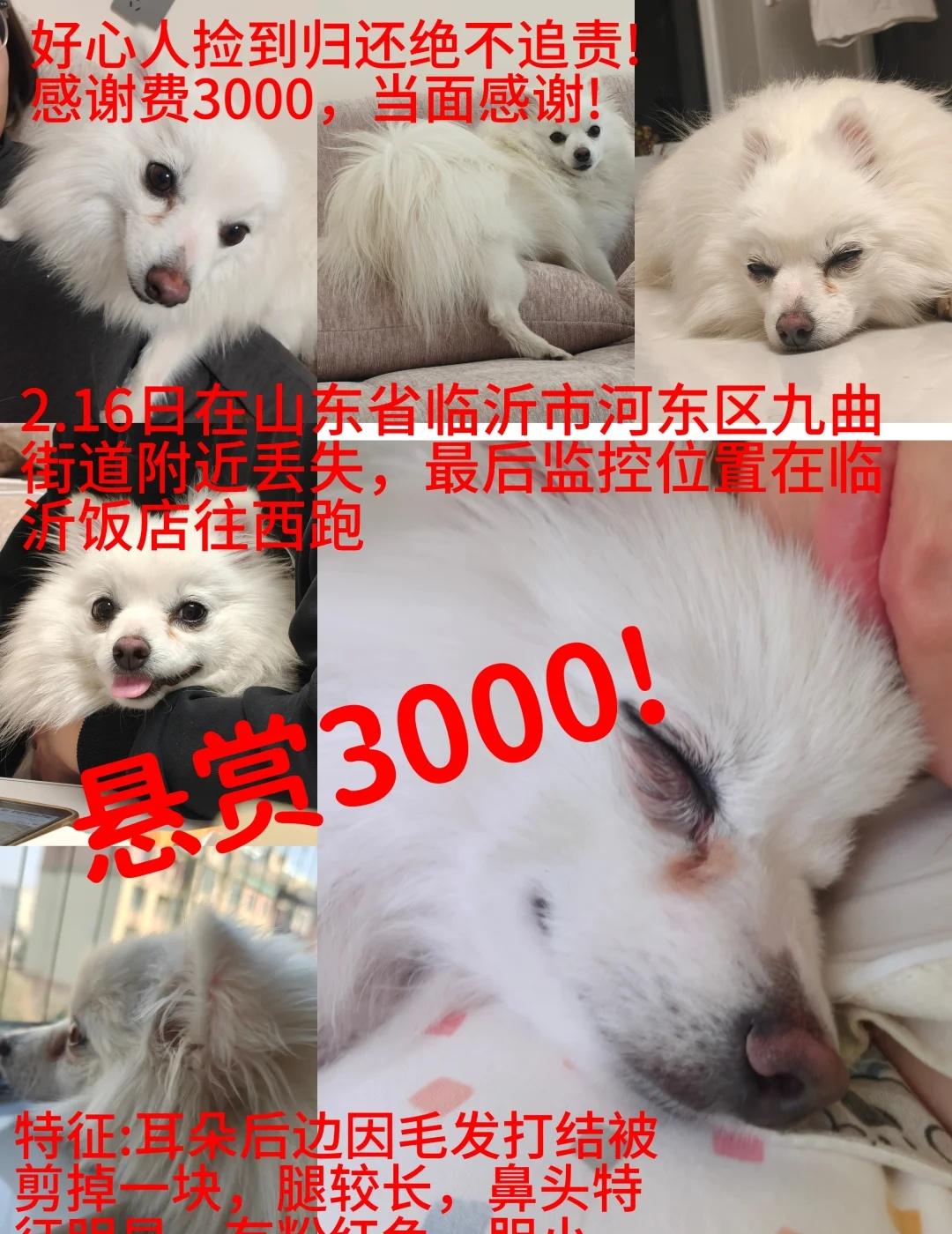 重赏重赏!
寻人启事 山东省临沂市河东区家人们麻烦帮忙转发重赏[流泪]