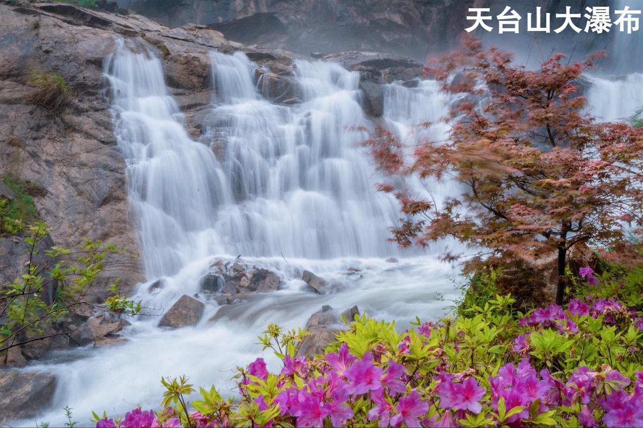 七月底，我们一帮老伙计准备前往天台山避暑。这家溪畔民宿包吃包住、停车随便停，还有
