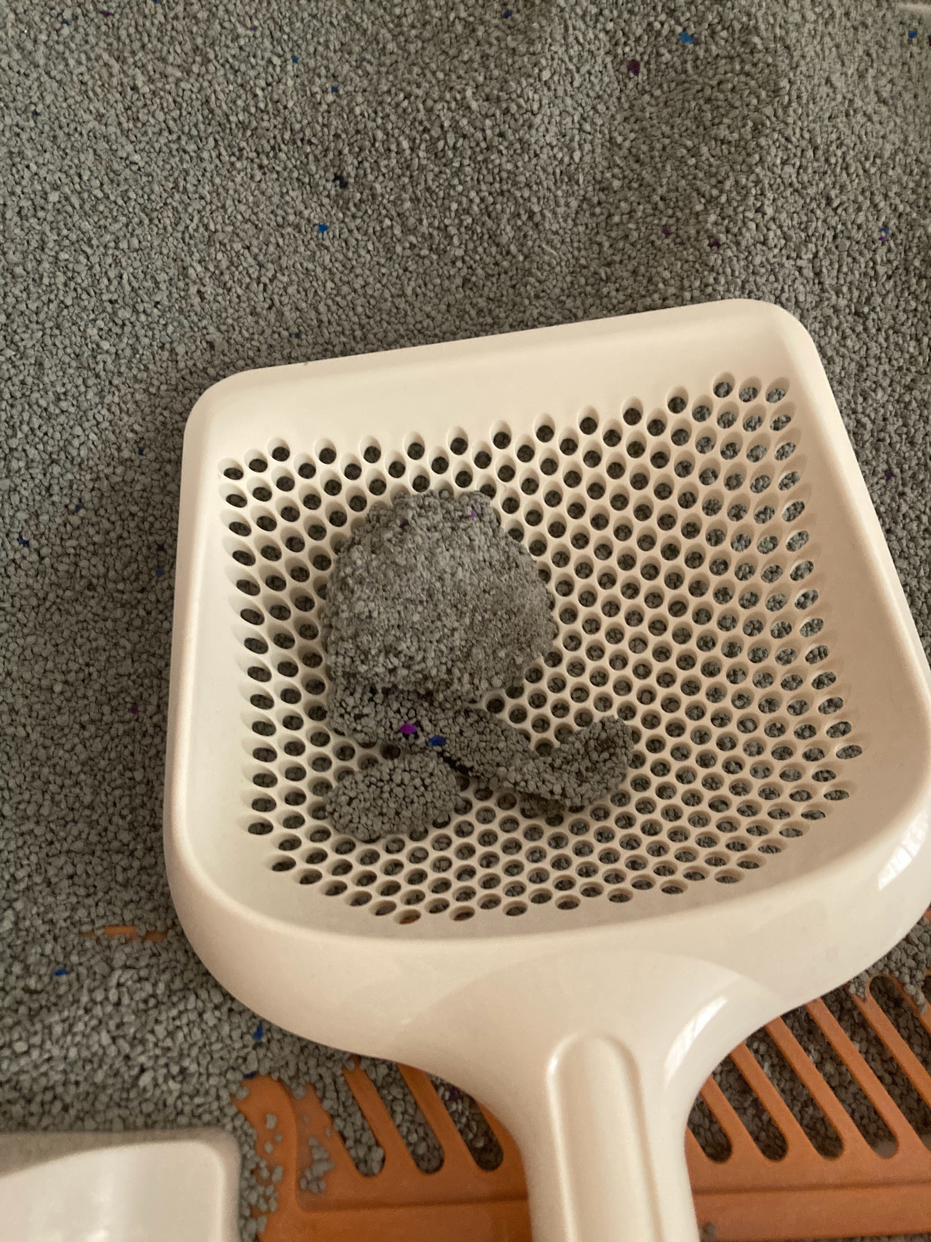 好健康的尿团和屎