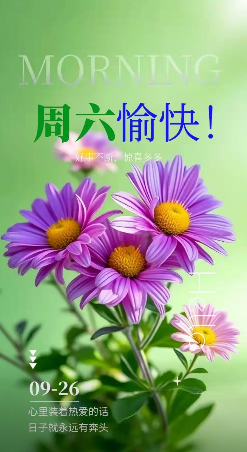秋晨寄语，🍁🇨🇳欢歌耀九州，秋光沐华年🇨🇳🍁
2026./09.26