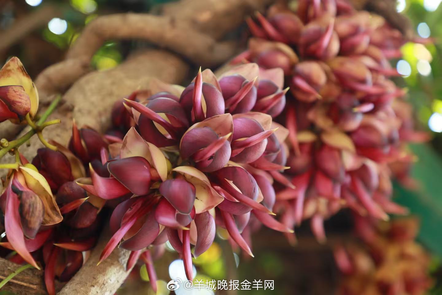 #晚安#真正通透的人，懂得为人生做“减法”，定期清理心里的“缓存”。只有让心归零