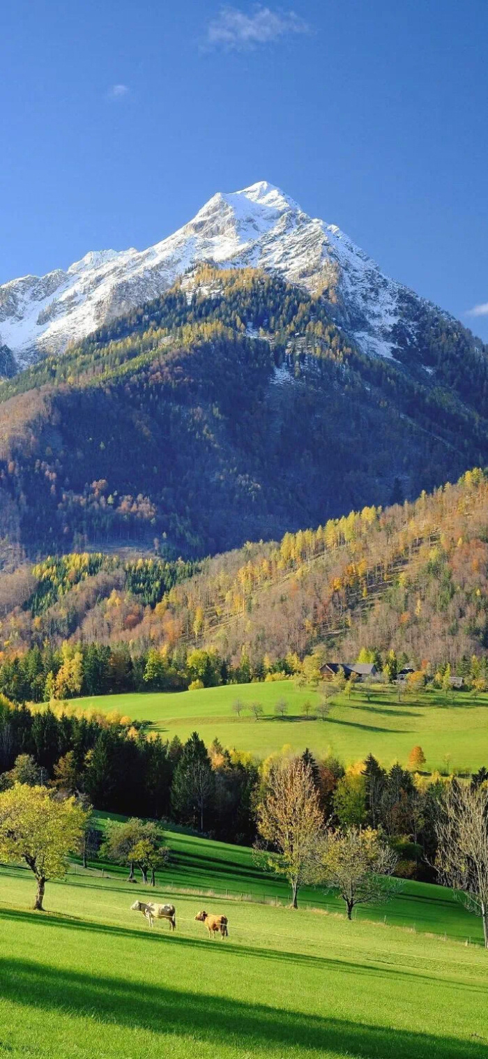 手机壁纸   风景壁纸    全屏壁纸 