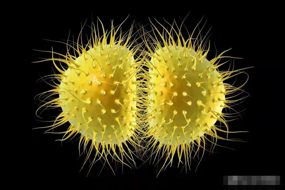 英国坎特伯雷肯特大学的这次疫情爆发，细节确实令人头皮发麻。短短一个周末（3月13